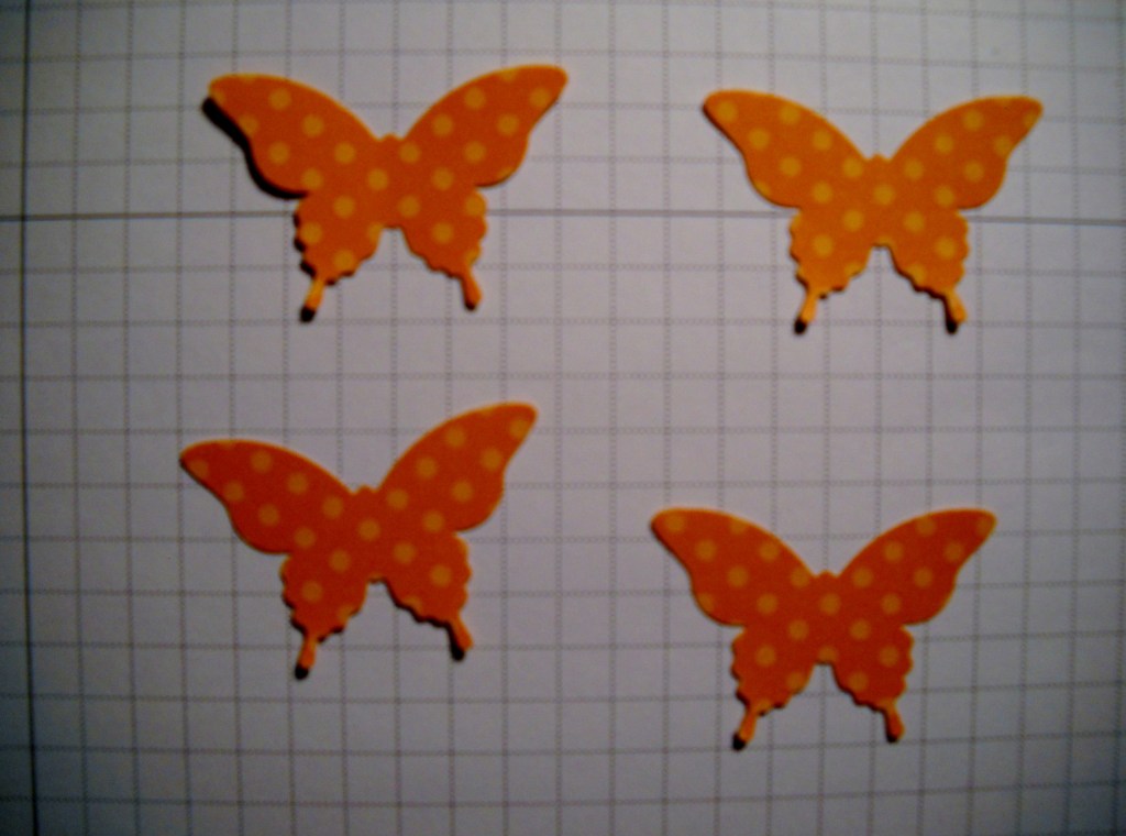 3-D Butterfly 001