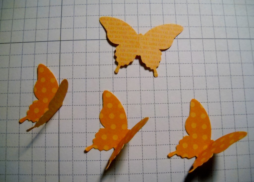 3-D Butterfly 002
