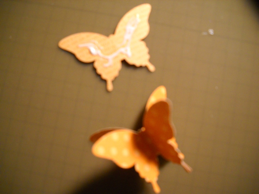 3-D Butterfly 004