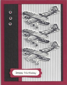 Plane Riding Hood Red