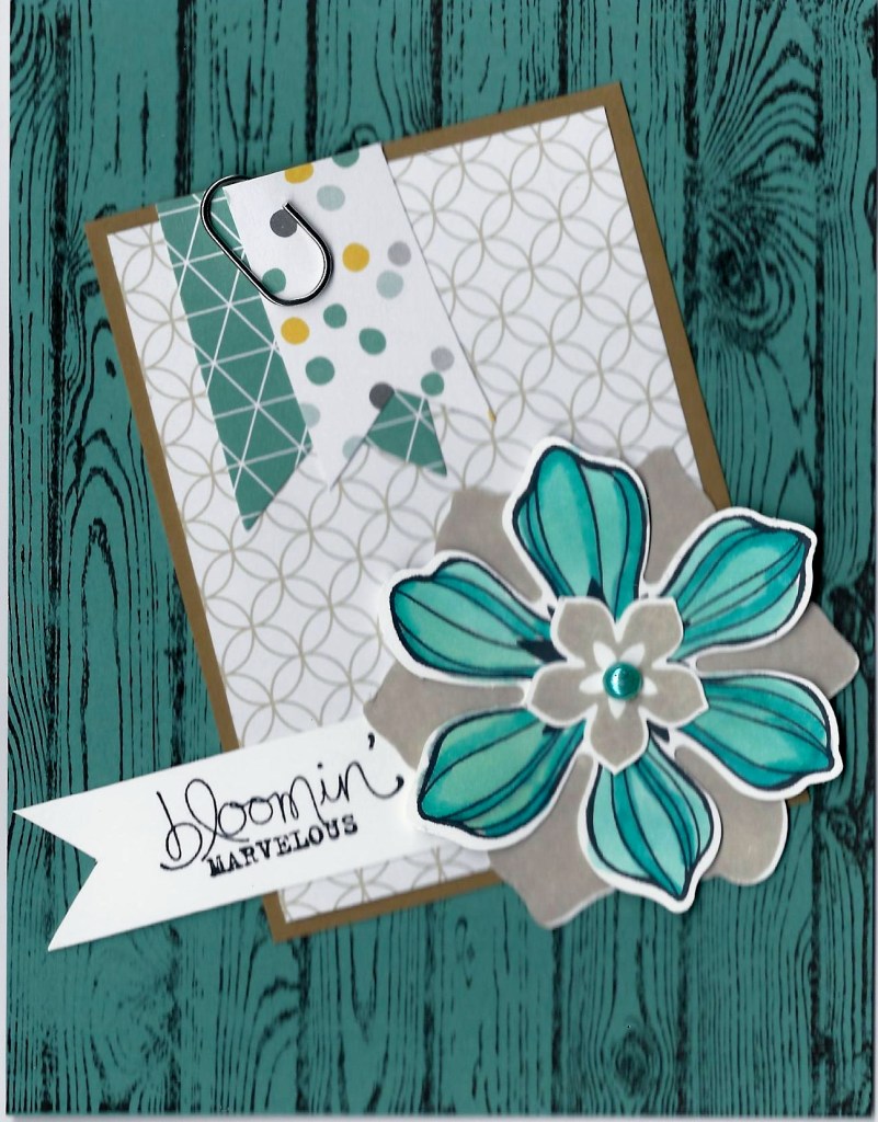 Beautiful Bunch Lost Lagoon