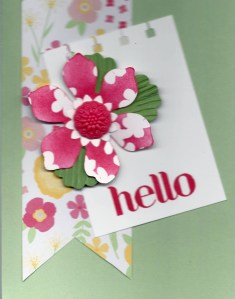 Irresistably DSP Abloom