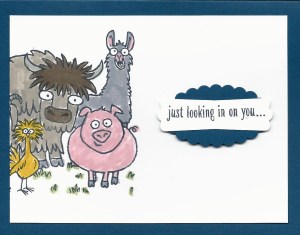 From the Herd Trinity